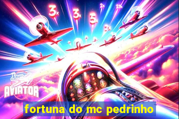 fortuna do mc pedrinho