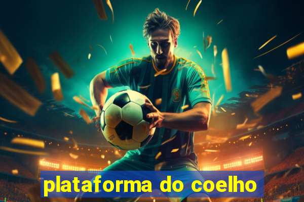 plataforma do coelho