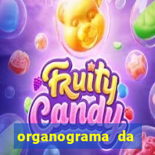 organograma da cacau show