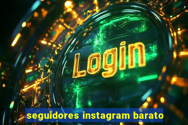 seguidores instagram barato