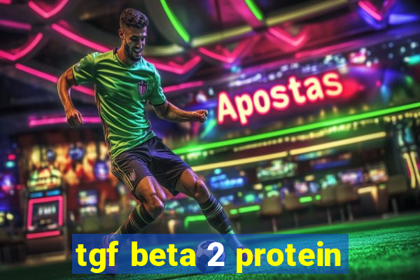 tgf beta 2 protein