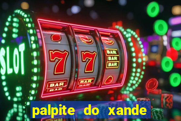 palpite do xande de hoje