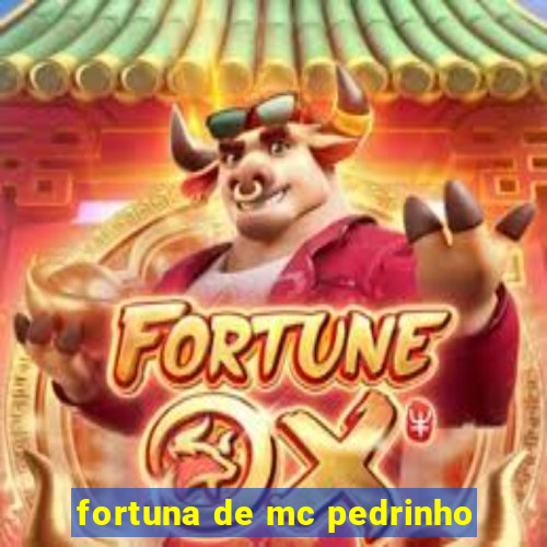 fortuna de mc pedrinho