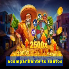 acompanhante ts santos