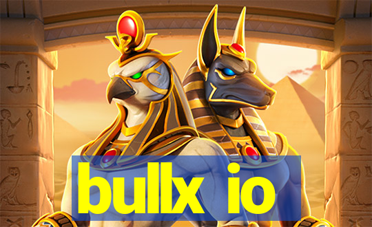 bullx io