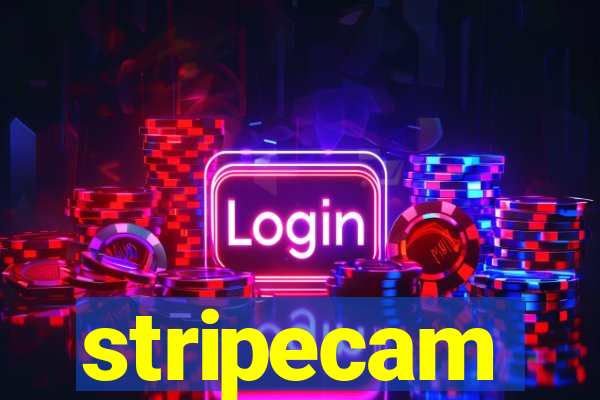 stripecam