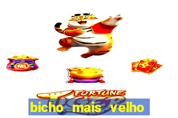 bicho mais velho da loteria dos sonhos