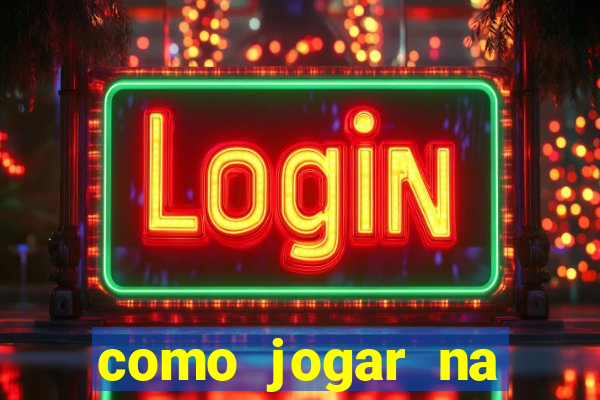 como jogar na lotinha do jogo do bicho