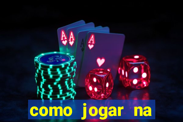 como jogar na lotinha do jogo do bicho