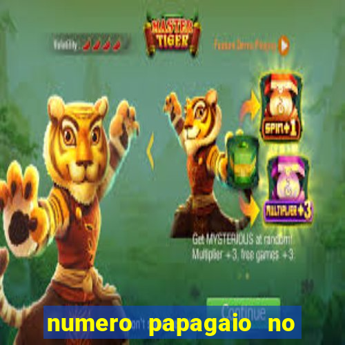 numero papagaio no jogo do bicho