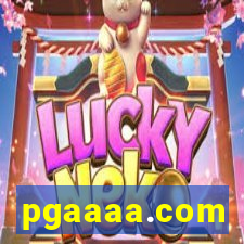 pgaaaa.com