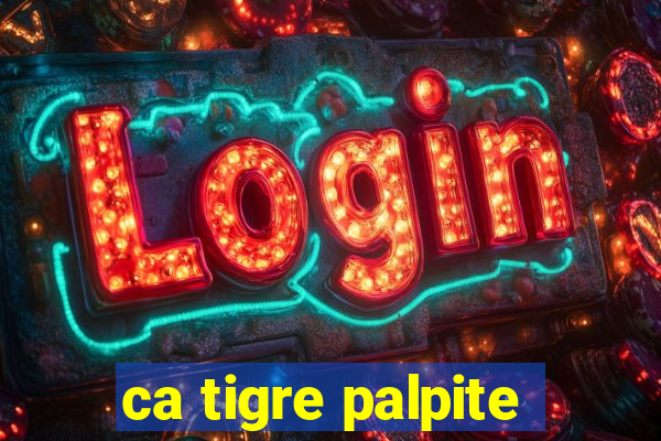 ca tigre palpite