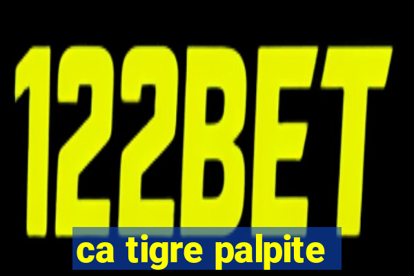 ca tigre palpite