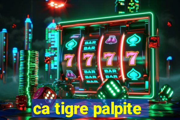 ca tigre palpite