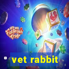 vet rabbit