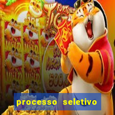 processo seletivo cerejeiras 2024