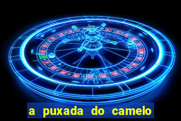 a puxada do camelo no jogo do bicho