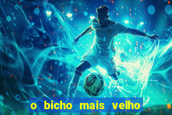 o bicho mais velho da loteria dos sonhos