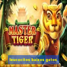 leucocitos baixos gatos