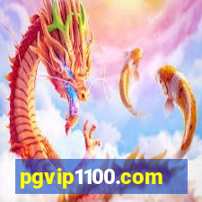 pgvip1100.com