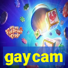 gaycam