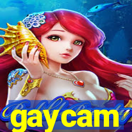 gaycam