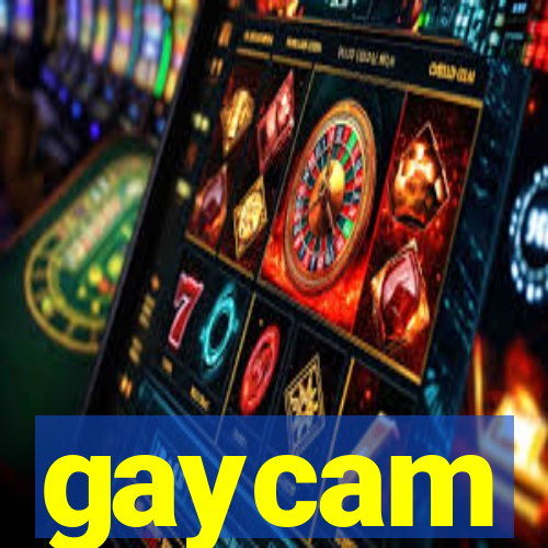 gaycam