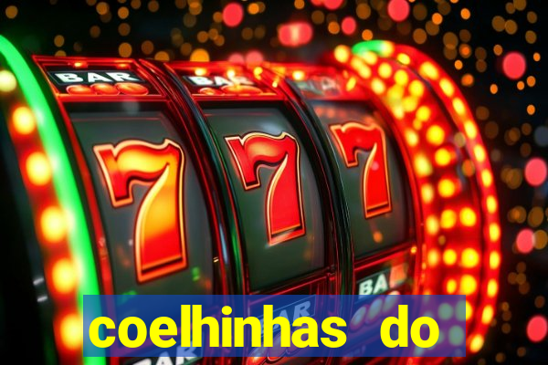 coelhinhas do brasil recife