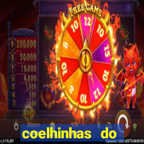 coelhinhas do brasil recife