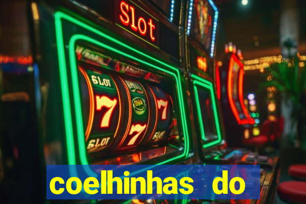 coelhinhas do brasil recife