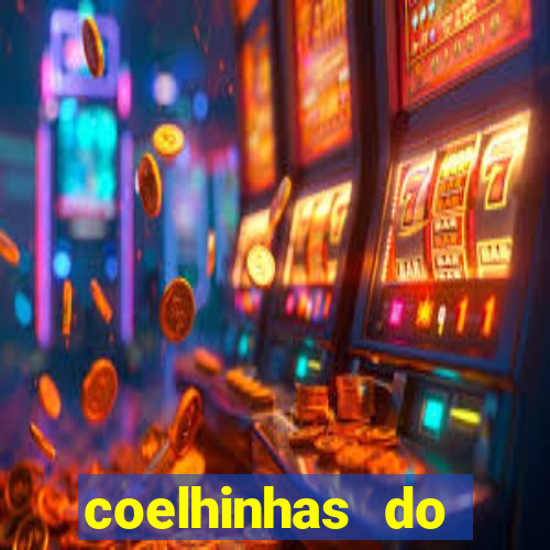 coelhinhas do brasil recife