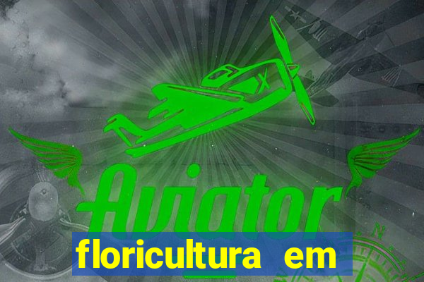 floricultura em lauro de freitas