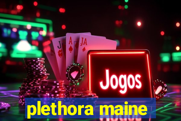 plethora maine