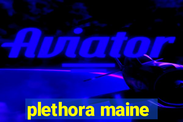 plethora maine