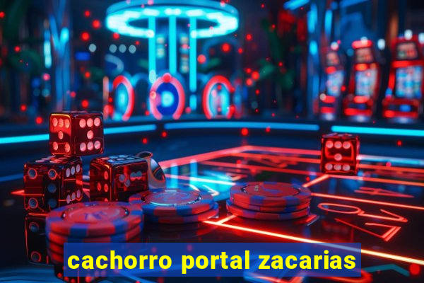 cachorro portal zacarias