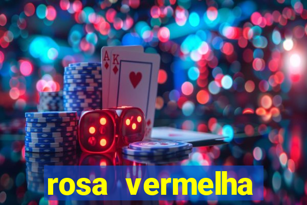 rosa vermelha (letra e cifra)