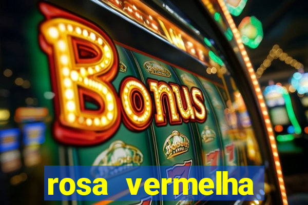 rosa vermelha (letra e cifra)