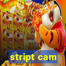 stript cam