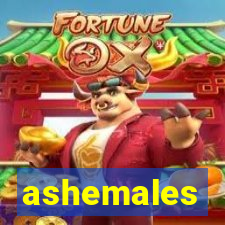 ashemales