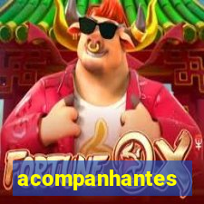 acompanhantes orientais s o paulo