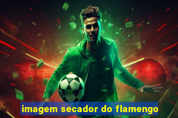 imagem secador do flamengo