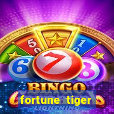 fortune tiger plataforma nova