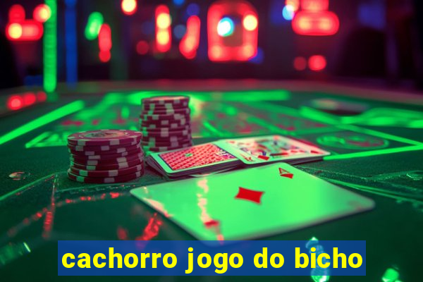 cachorro jogo do bicho