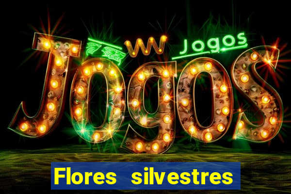 Flores silvestres brasileiras 25