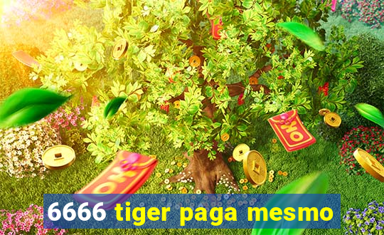 6666 tiger paga mesmo