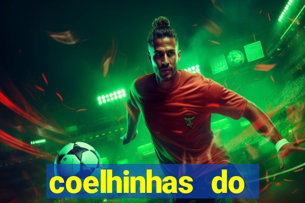 coelhinhas do brasil site