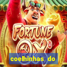 coelhinhas do brasil site