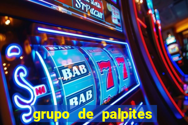 grupo de palpites de futebol whatsapp