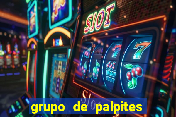 grupo de palpites de futebol whatsapp