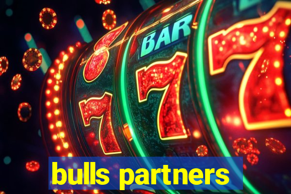 bulls partners